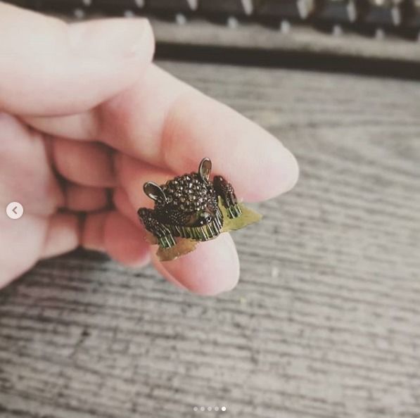 Brooch Armadillo 3D print model_6