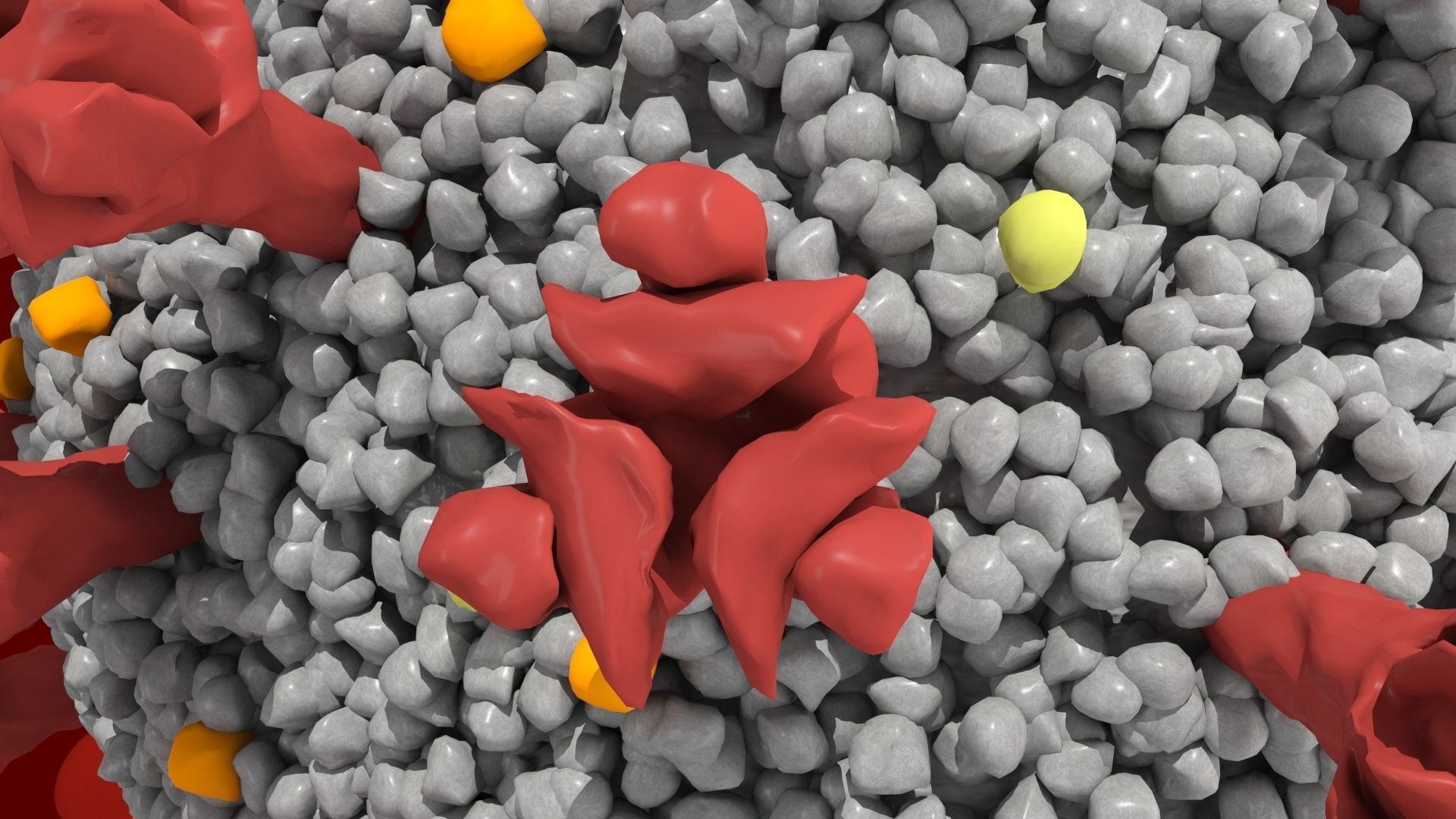 Corona Virus Covid 19 with blood cells 3D model_3