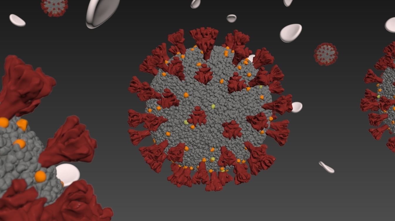 Corona Virus Covid 19 with blood cells 3D model_4