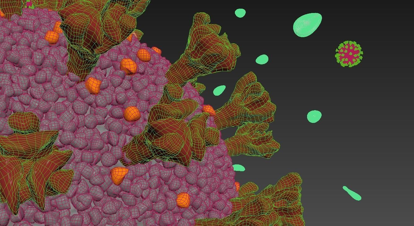 Corona Virus Covid 19 with blood cells 3D model_6