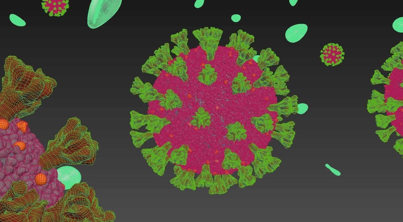 Corona Virus Covid 19 with blood cells 3D model_5