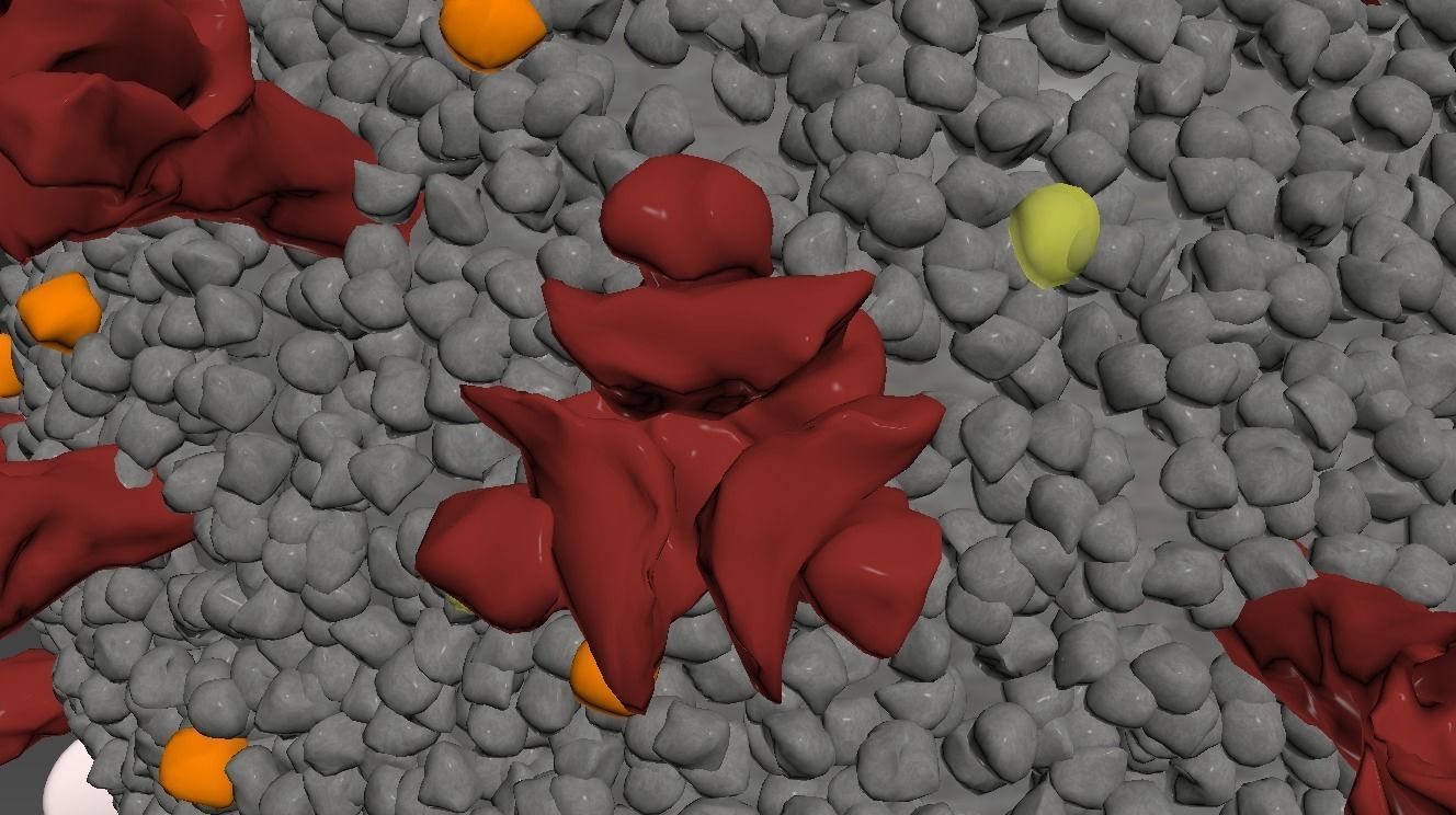 Corona Virus Covid 19 with blood cells 3D model_8