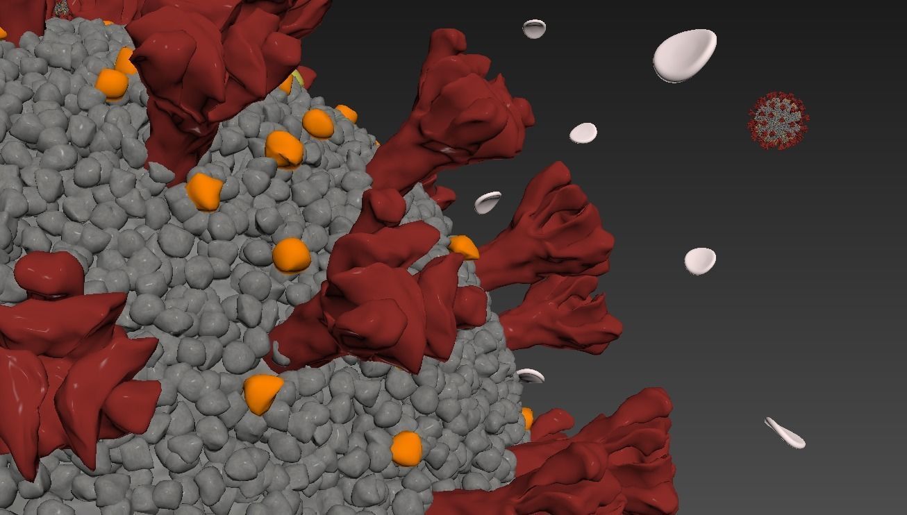 Corona Virus Covid 19 with blood cells 3D model_7