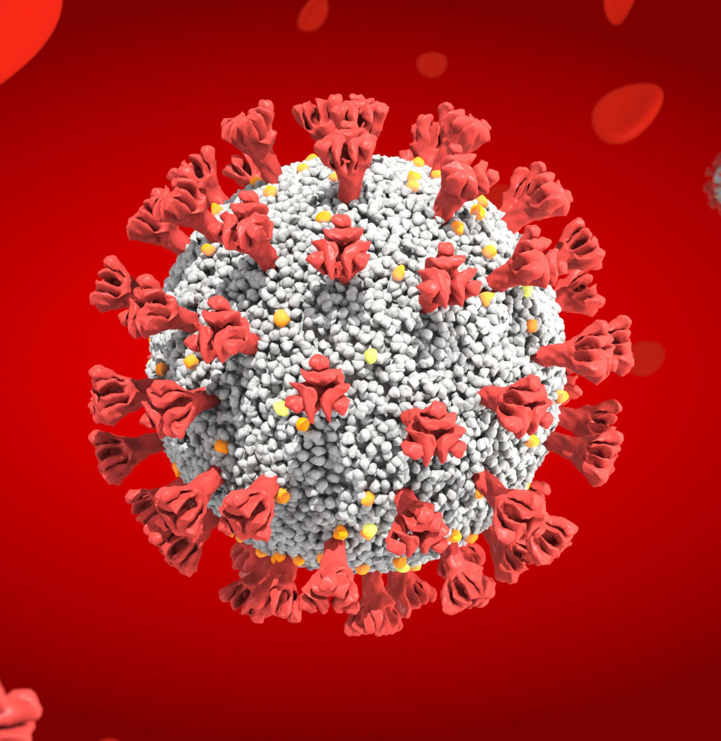 Corona Virus Covid 19 with blood cells 3D model_1