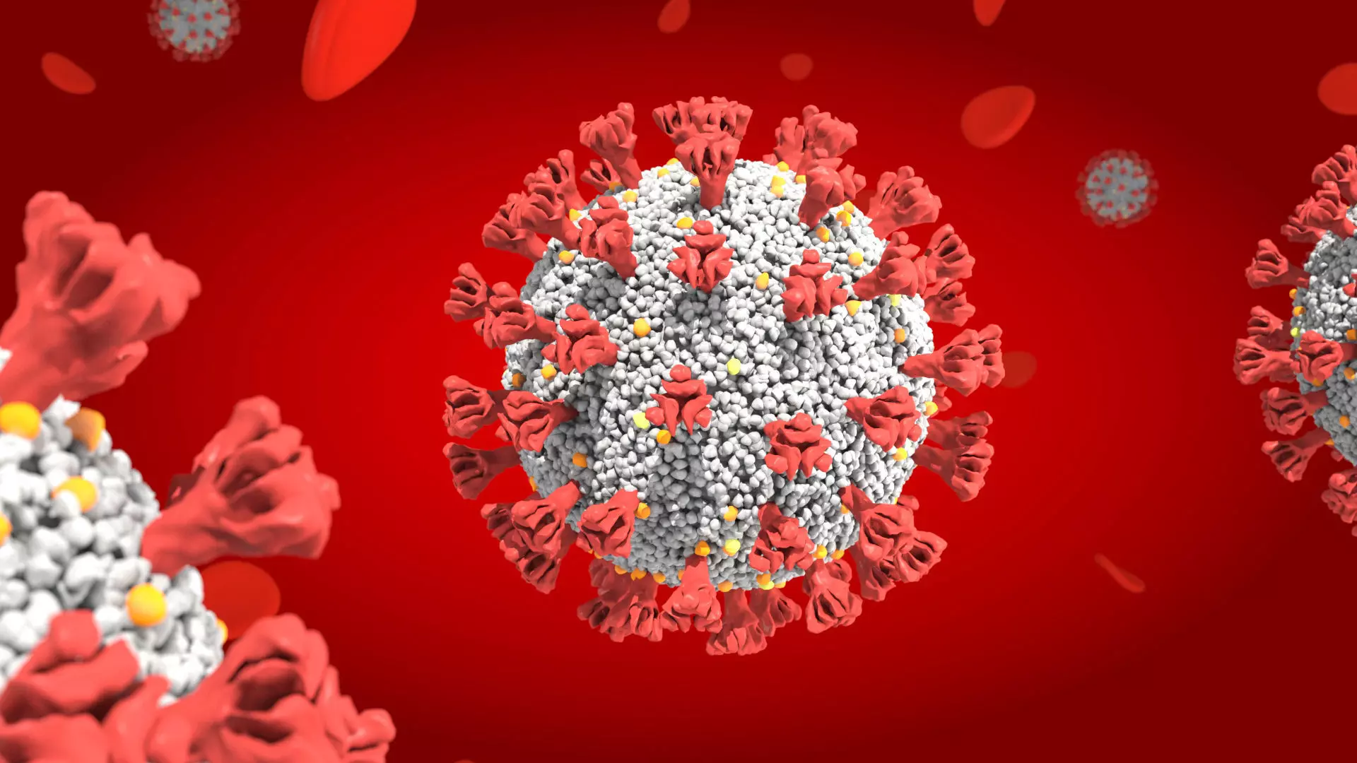 Corona Virus Covid 19 with blood cells 3D model_0