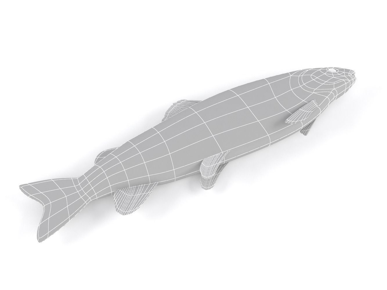 Fish model trout 3D model_11