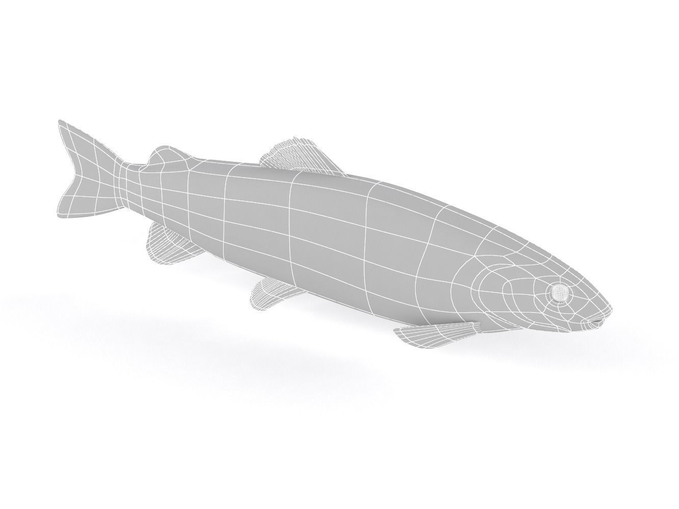 Fish model trout 3D model_10