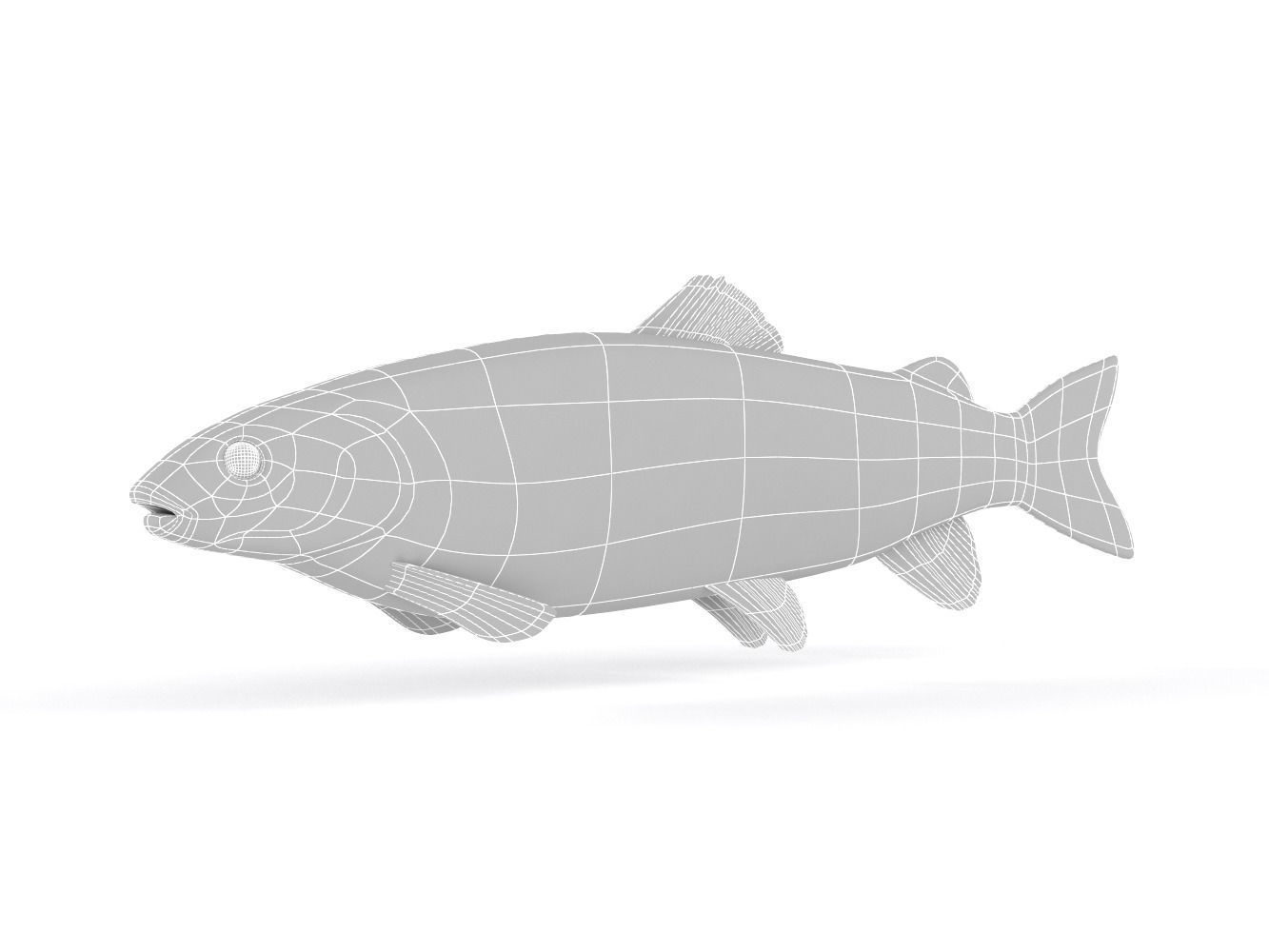 Fish model trout 3D model_9