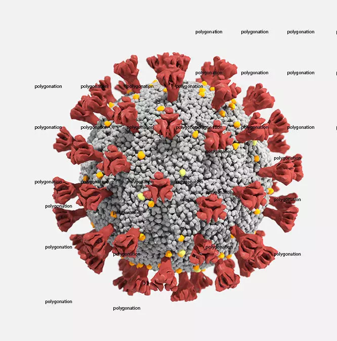CORONA VIRUS COVID-19 i 3D model_0
