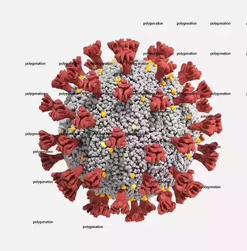 CORONA VIRUS COVID-19 i 3D model