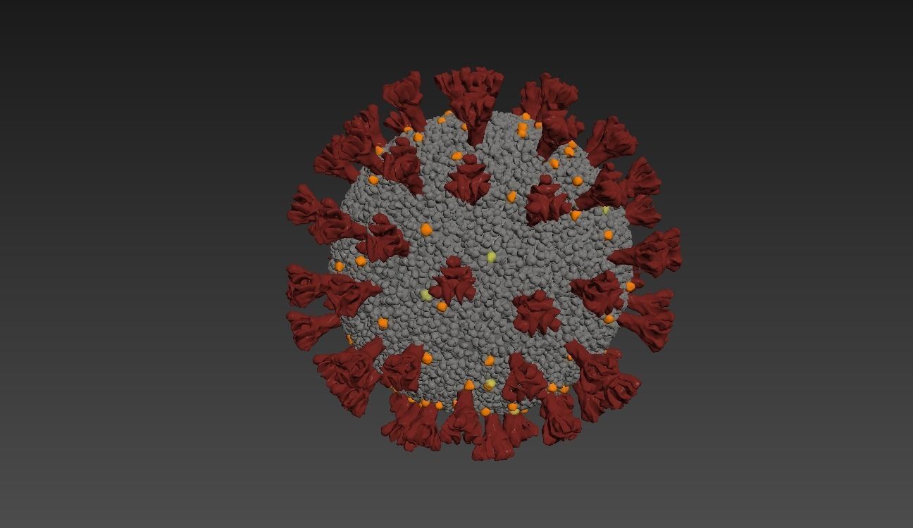 CORONA VIRUS COVID-19 i 3D model_5