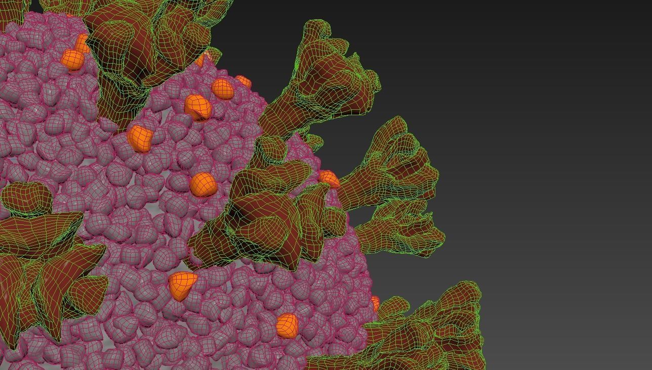 CORONA VIRUS COVID-19 i 3D model_6