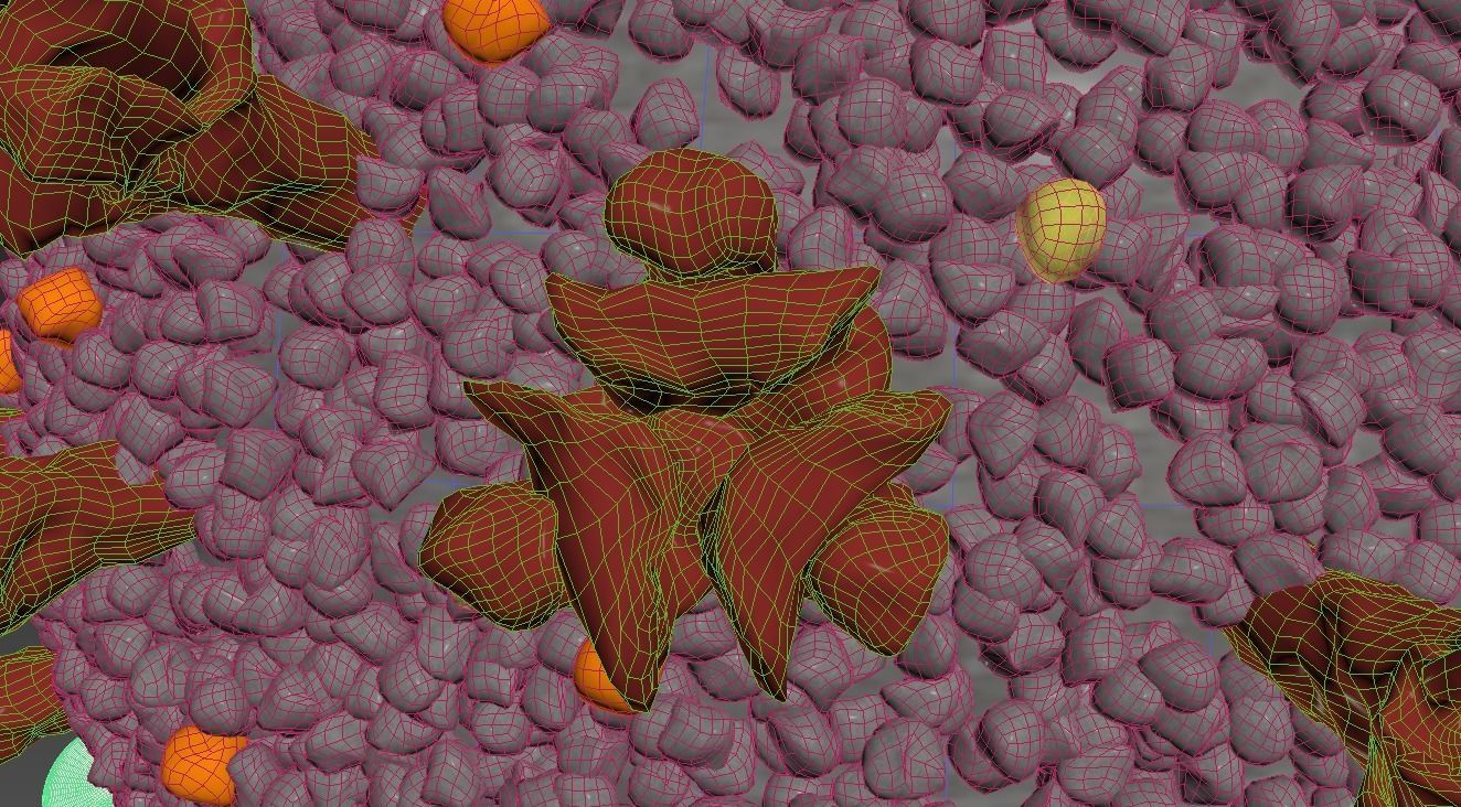 CORONA VIRUS COVID-19 i 3D model_7