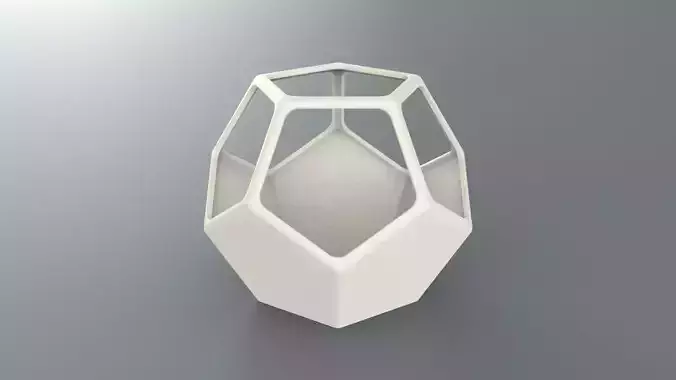 Dodecahedron Terrarium