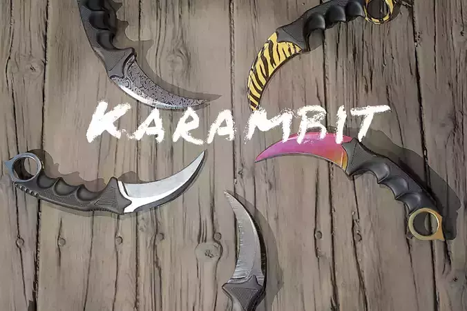 Karambit combat knife