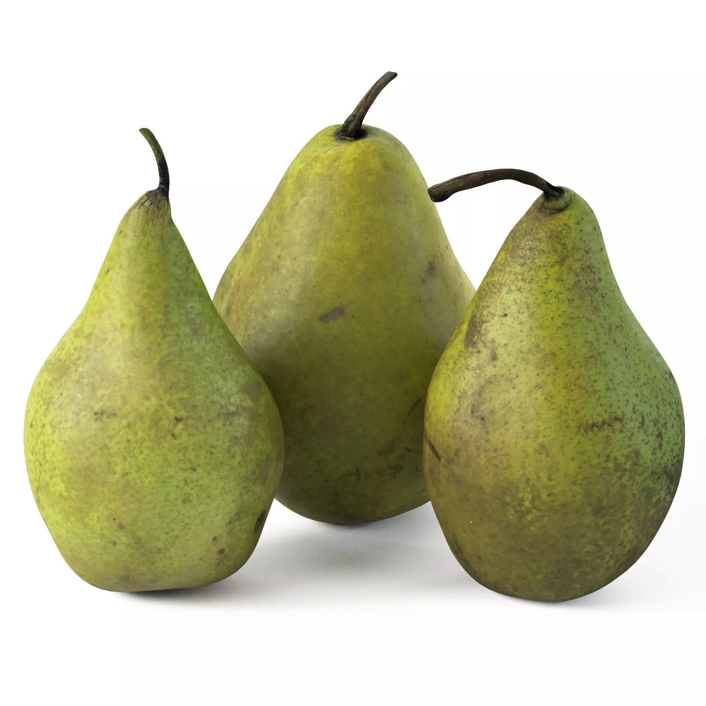 Pears 01 3D model_0