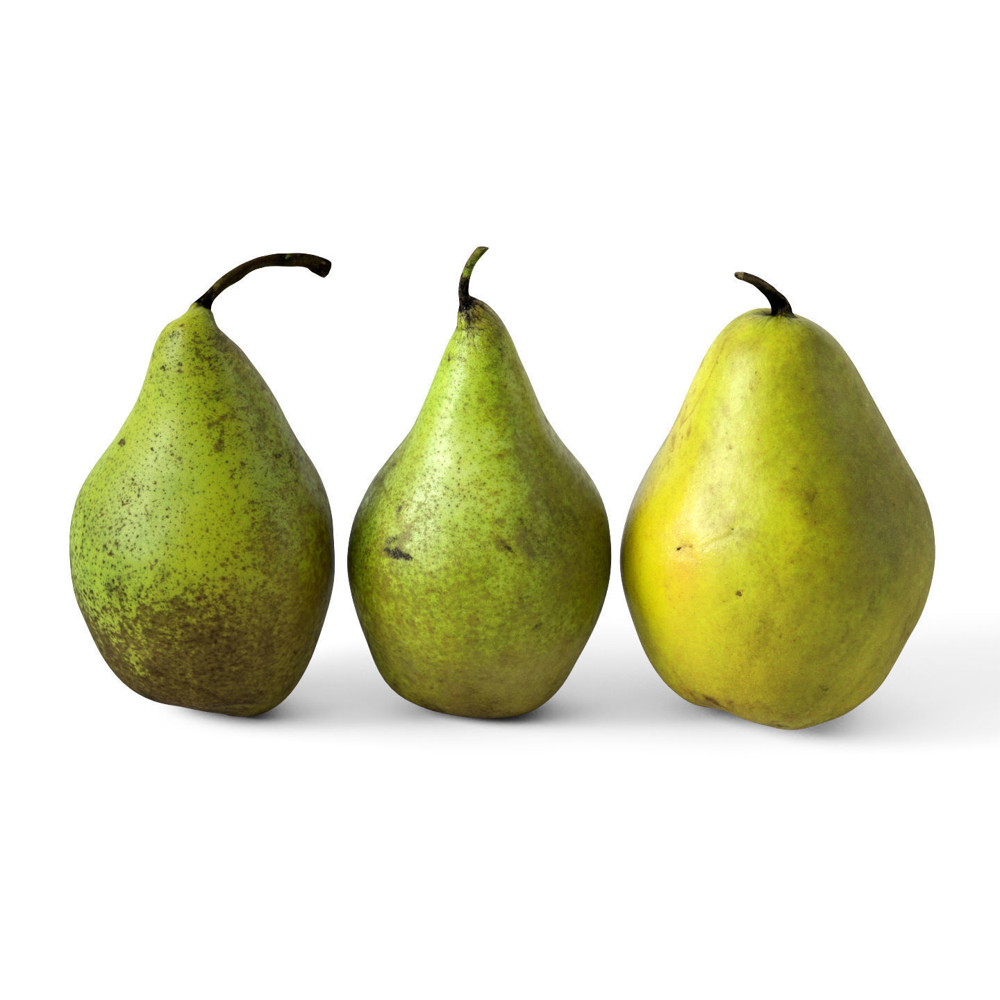 Pears 01 3D model_4