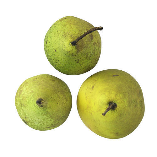Pears 01 3D model 7