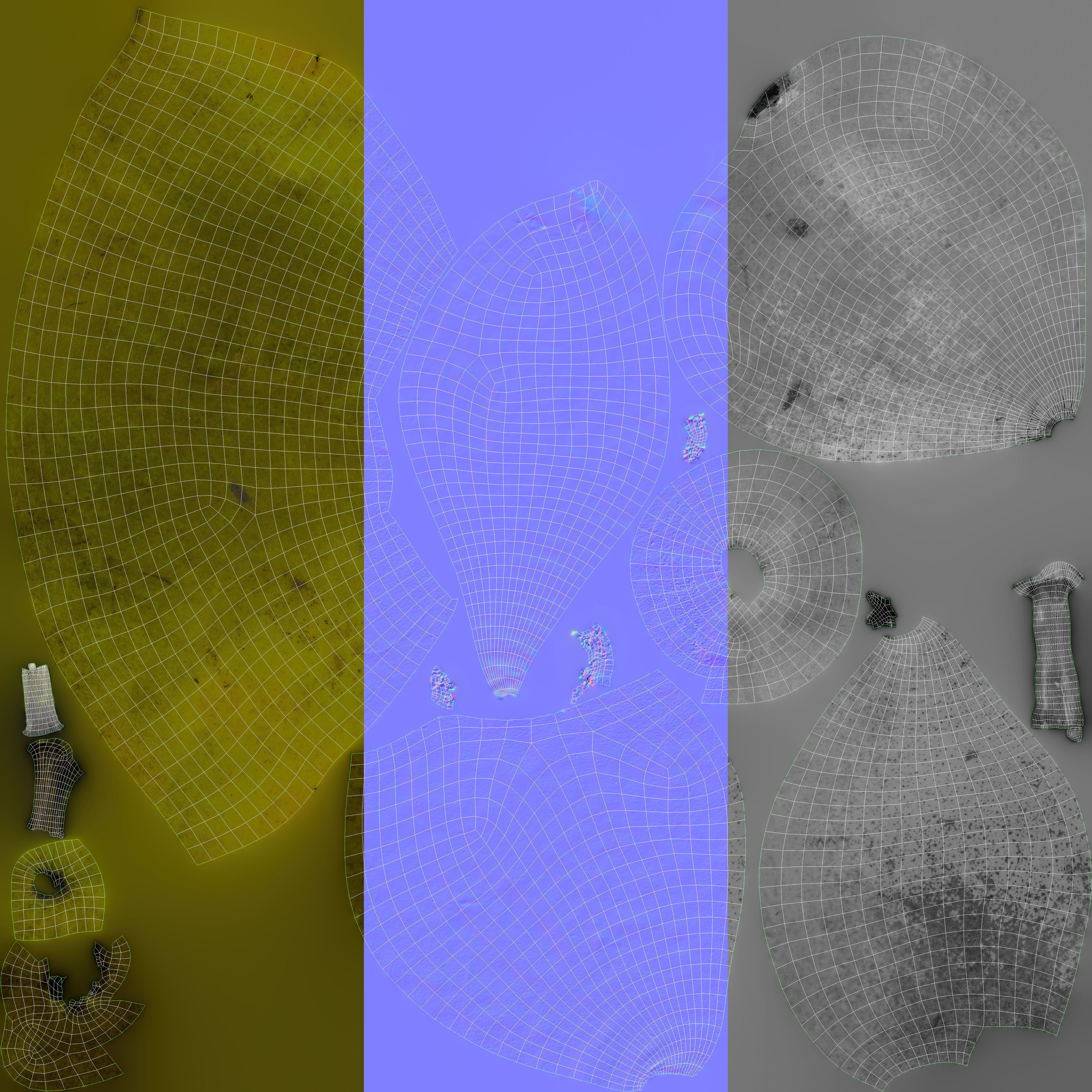 Pears 01 3D model_11