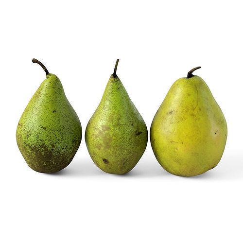 Pears 01 3D model 4