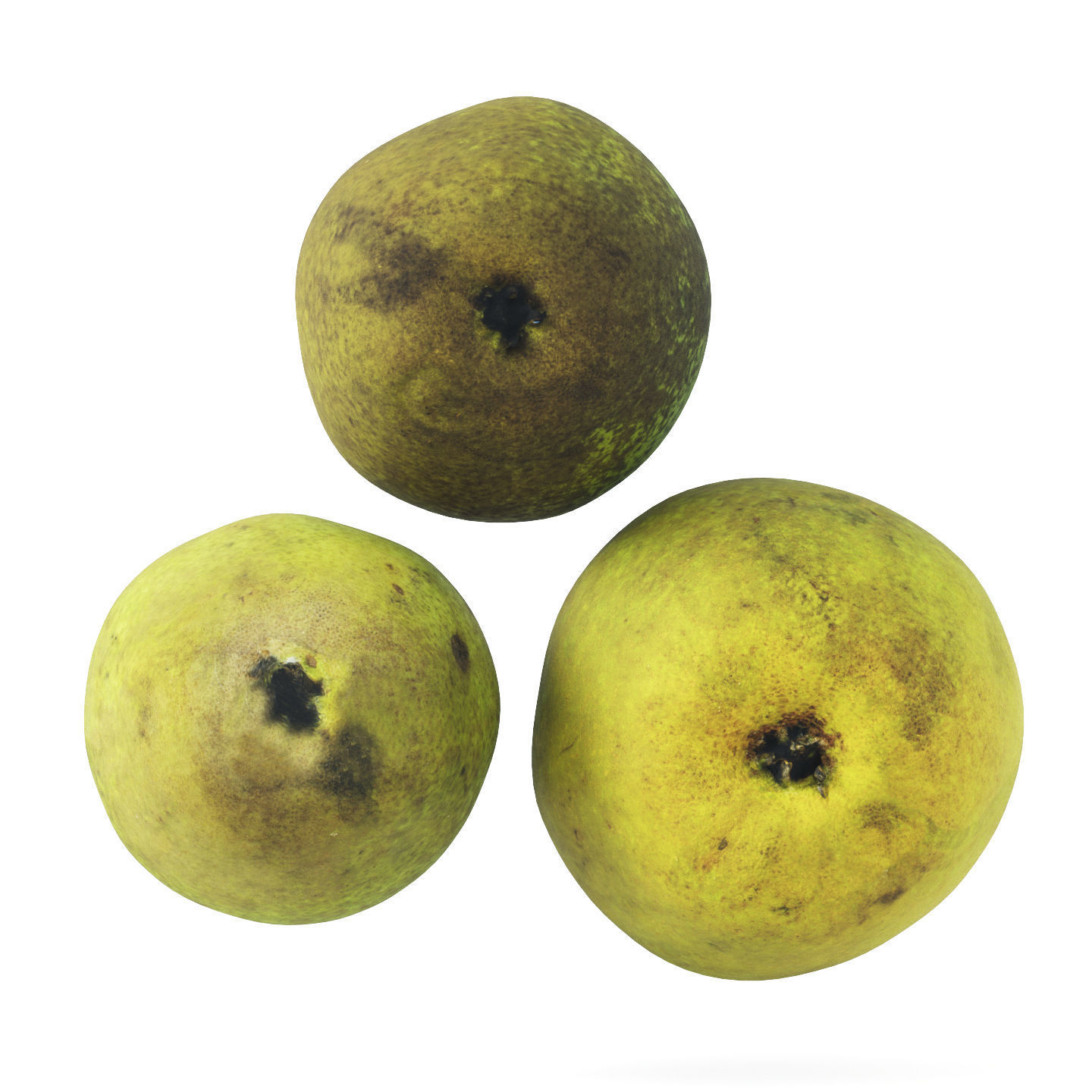 Pears 01 3D model_5