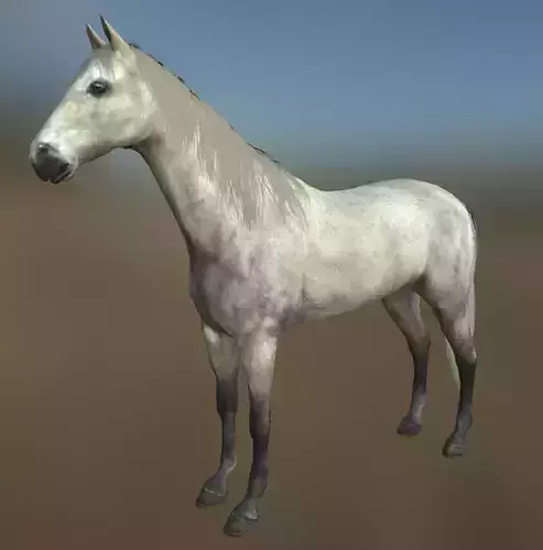 Rigged Horse With Saddle and Various Animation