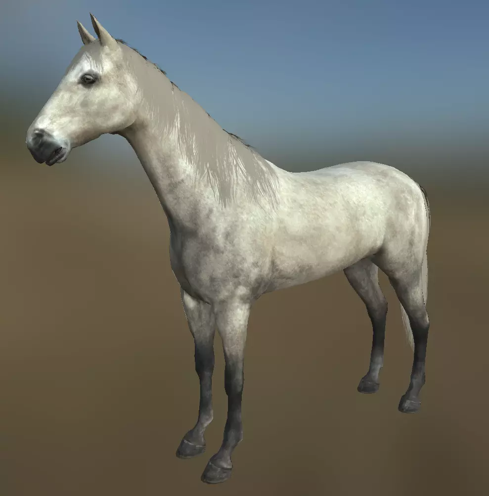 Rigged Horse With Saddle and Various Animation Low-poly 3D model_0