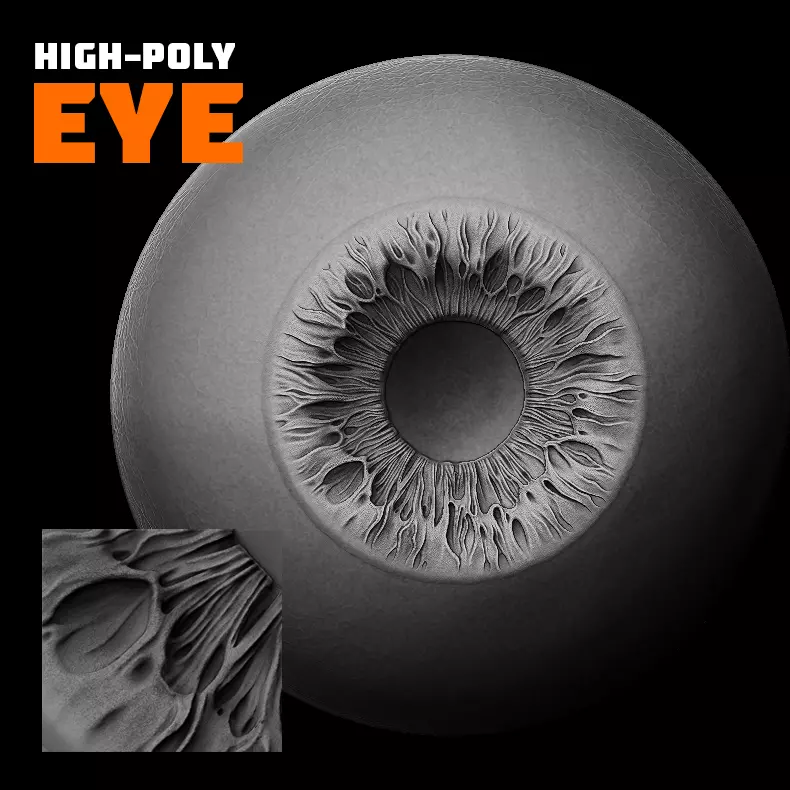 High-Poly Eye Model 3D model_0