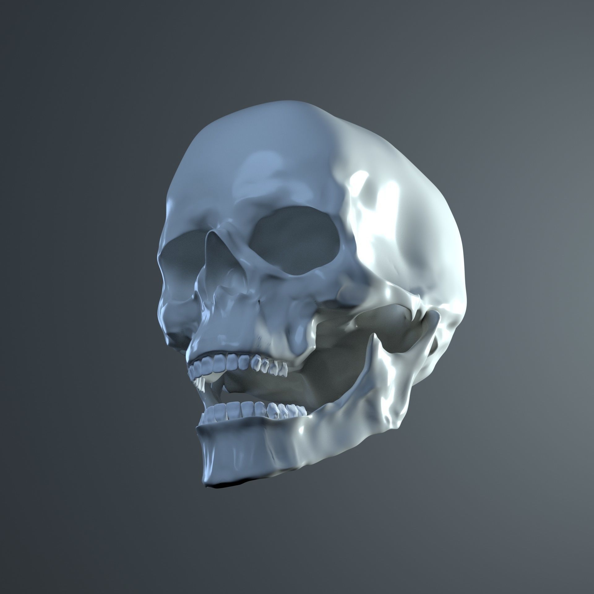 Skull human 3D model_1