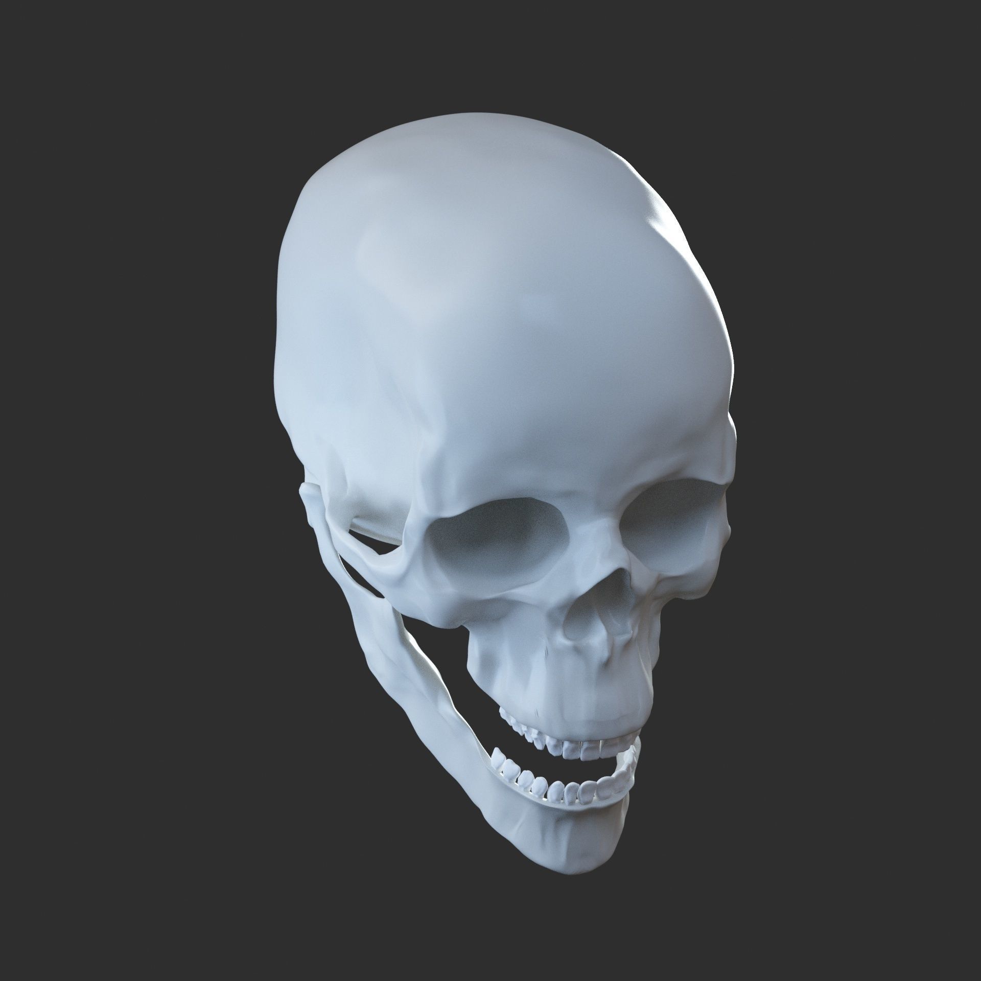 Skull human 3D model_5