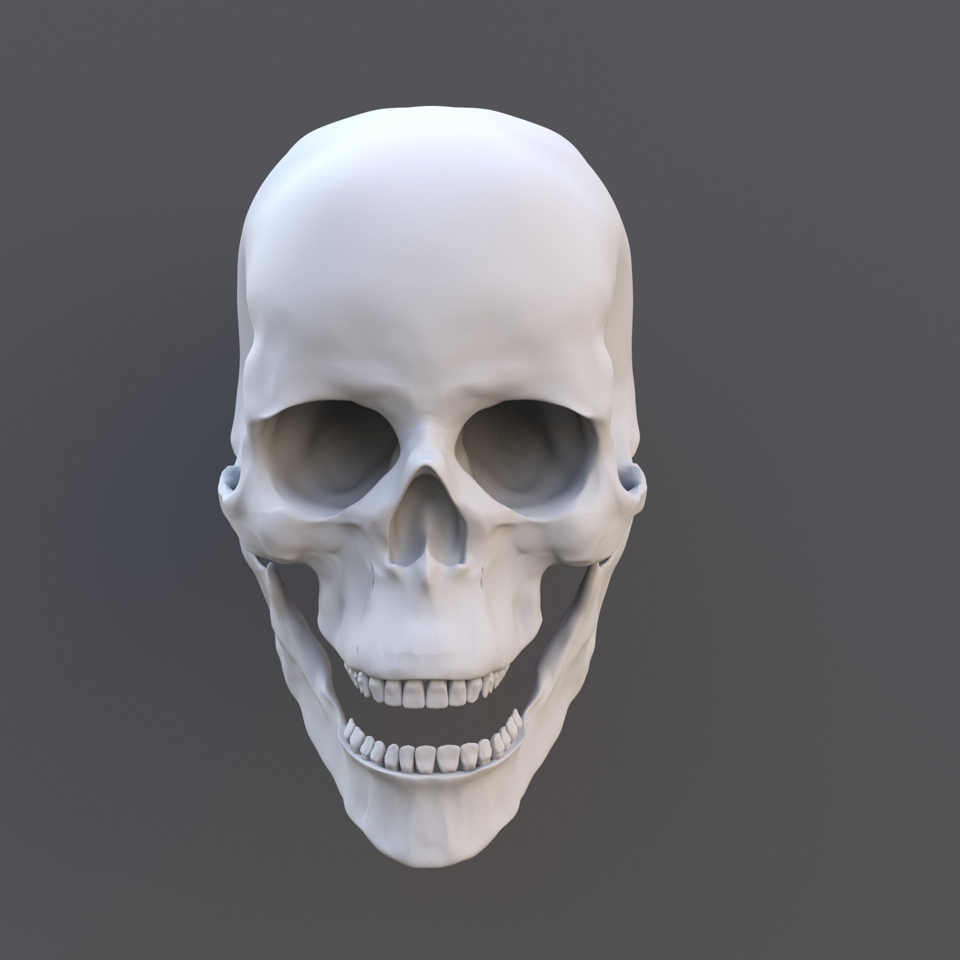 Skull human 3D model_3