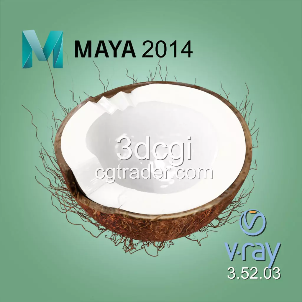 Coconut Half 3D model high quality 3D model_0