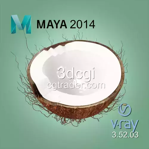 Coconut Half 3D model high quality