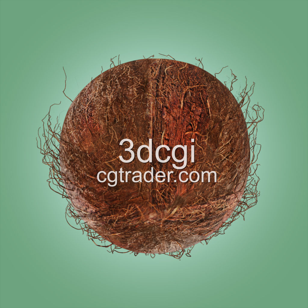 Coconut Half 3D model high quality 3D model_3