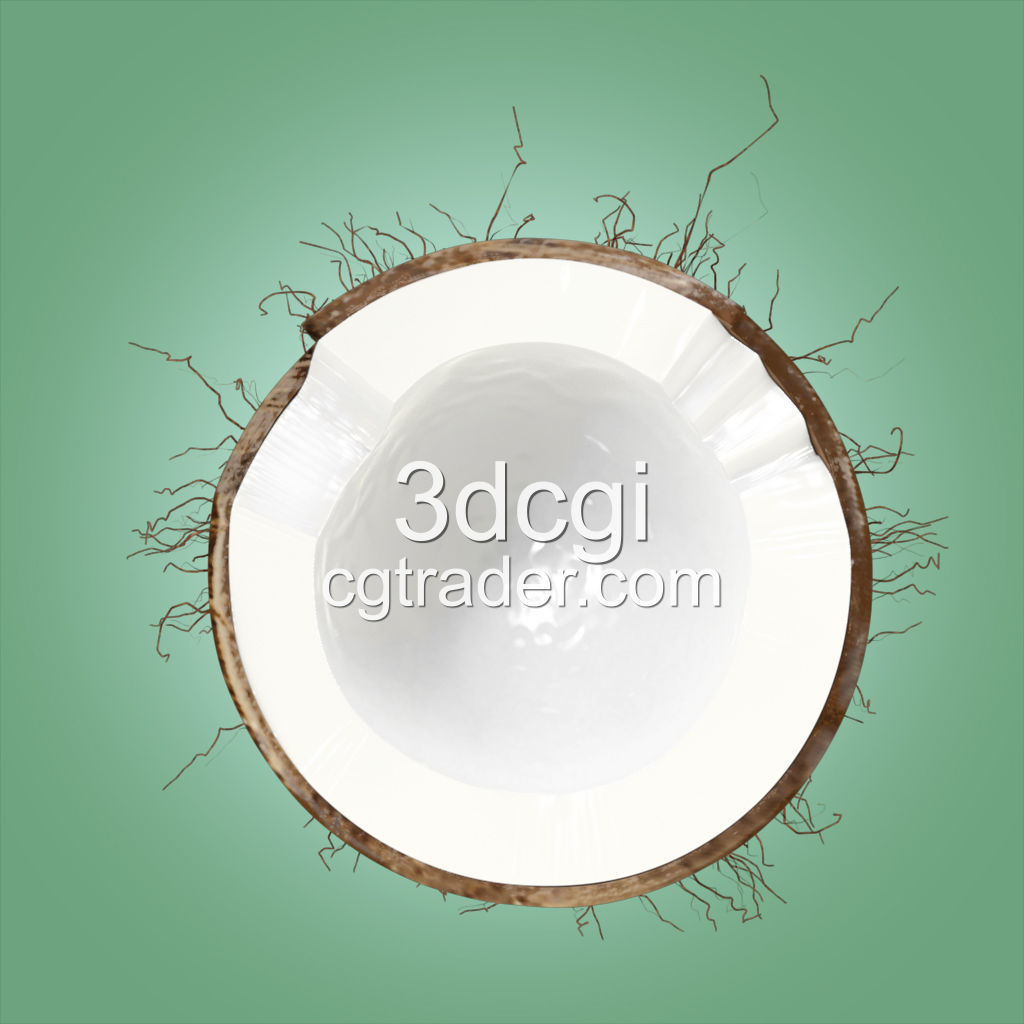 Coconut Half 3D model high quality 3D model_2