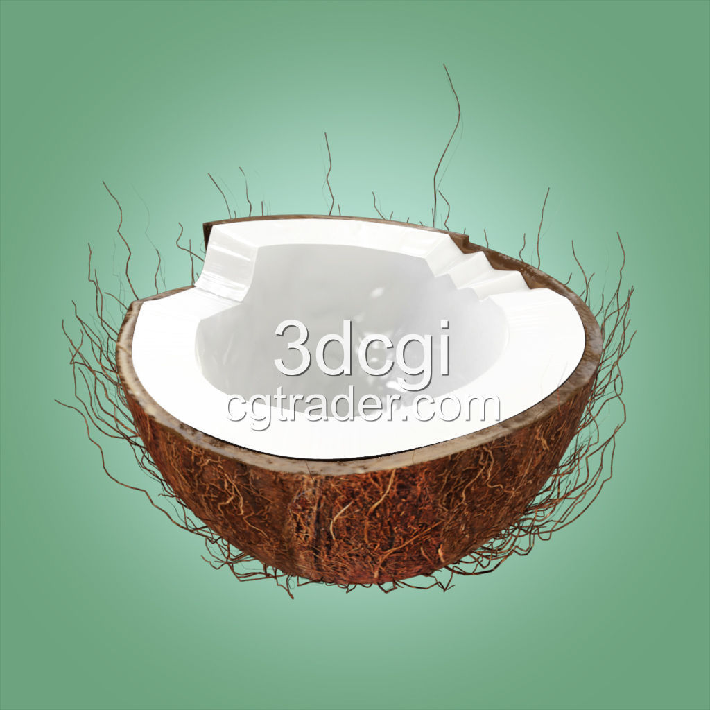 Coconut Half 3D model high quality 3D model_1