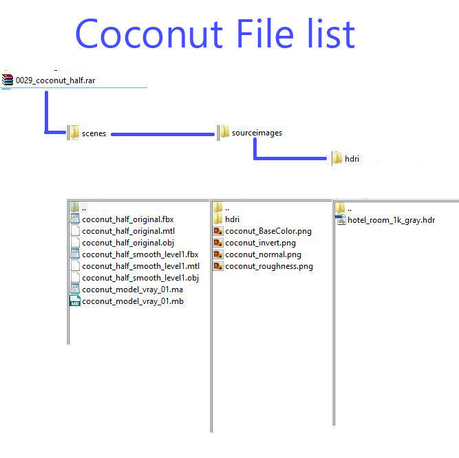Coconut Half 3D model high quality 3D model_8