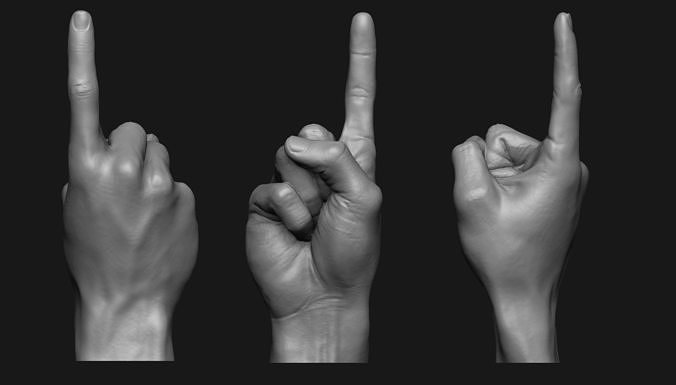 Pointing Hand Printable 3D print model