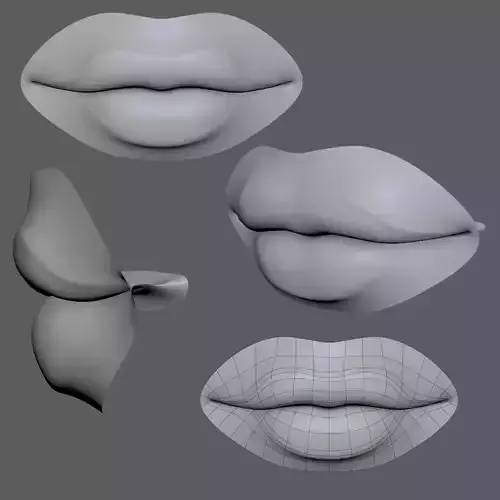 Lip Female-02 3D model