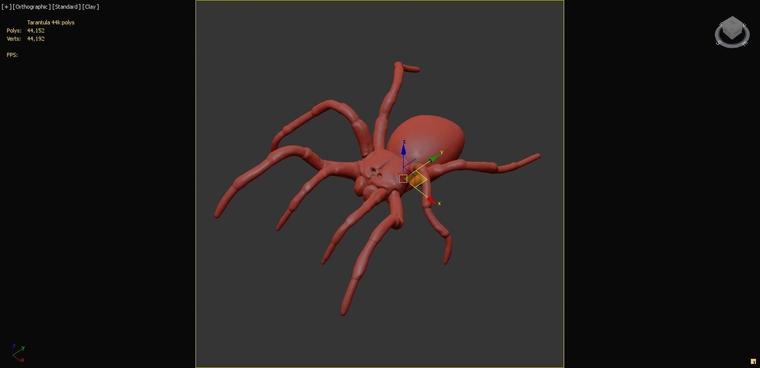 Red-knee Tarantula Brachypelma smithi  3D model_20