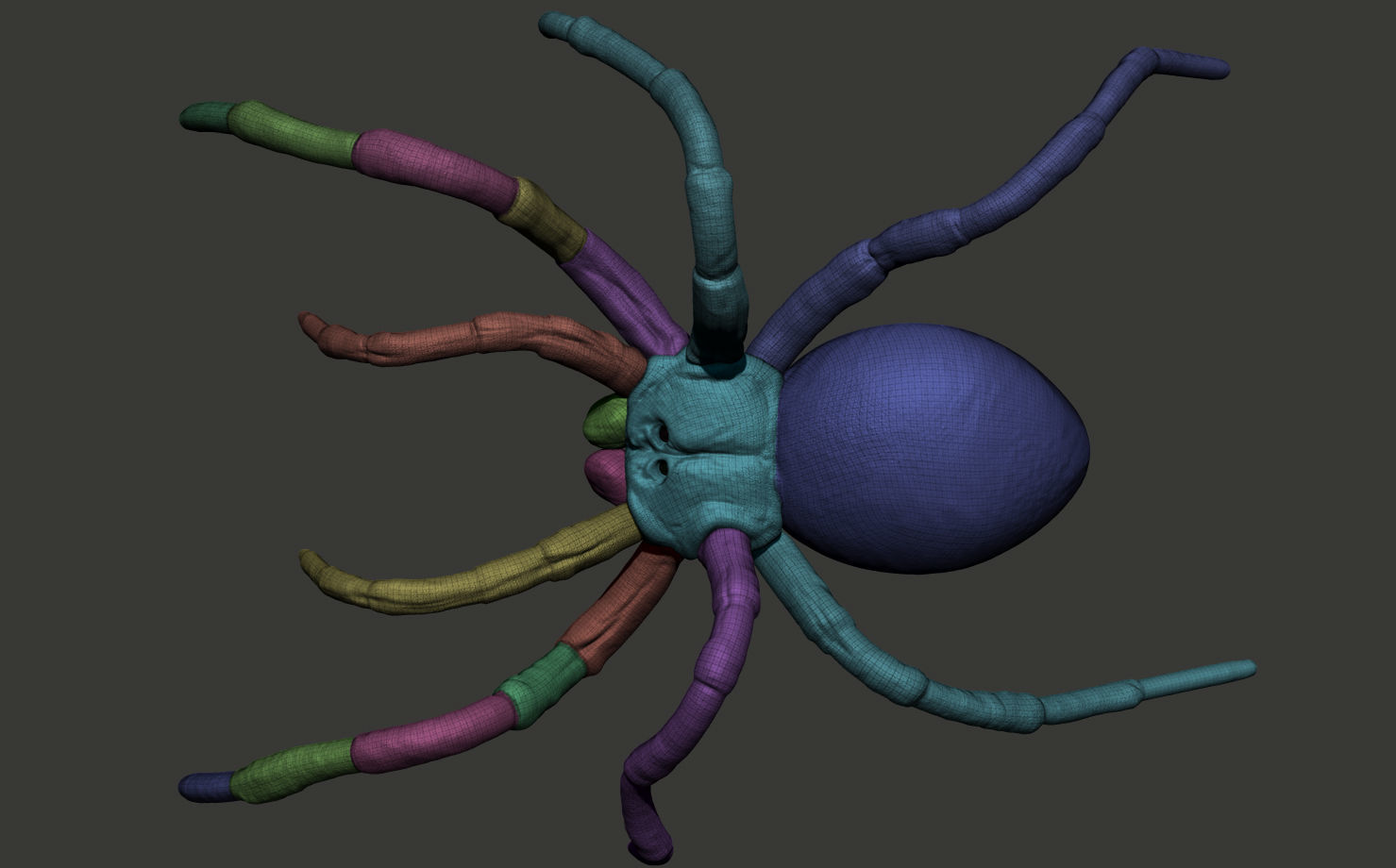 Red-knee Tarantula Brachypelma smithi  3D model_14
