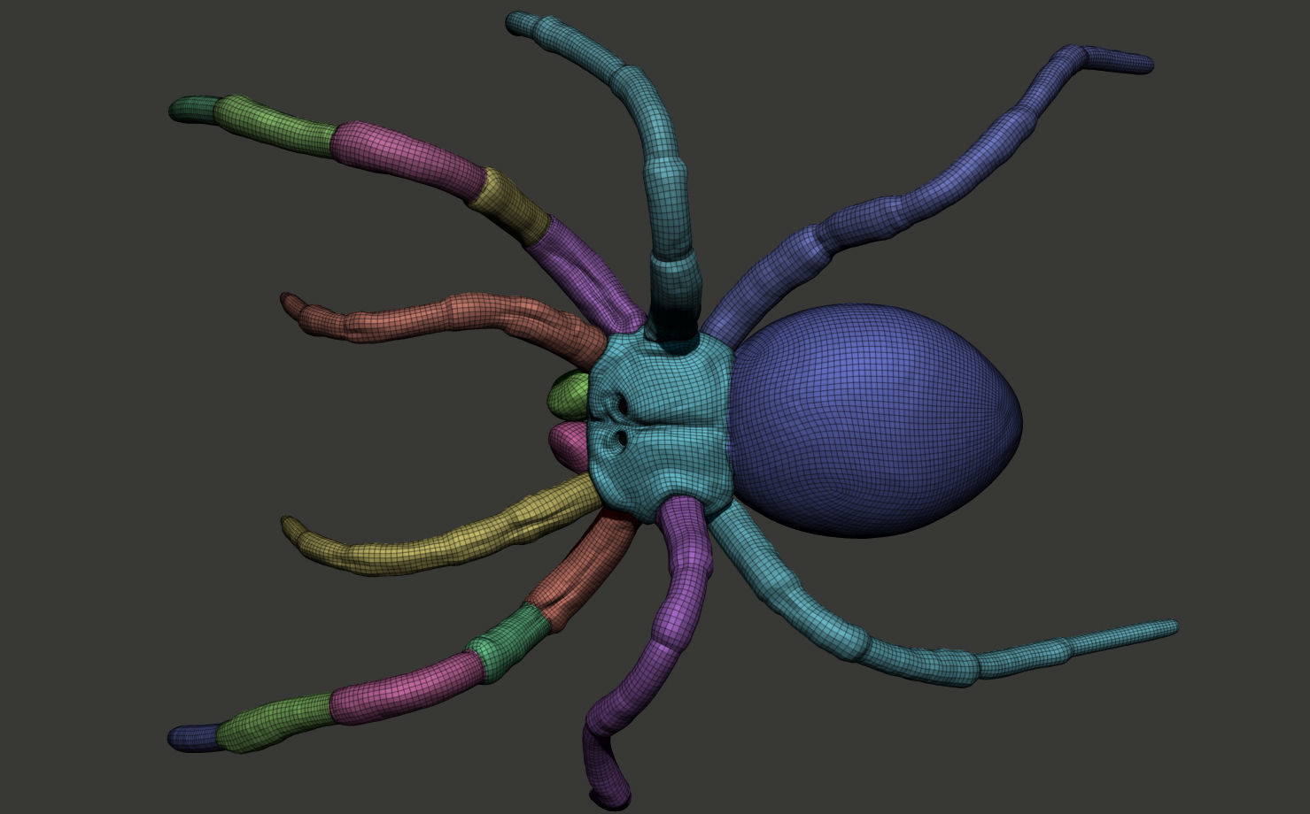 Red-knee Tarantula Brachypelma smithi  3D model_15