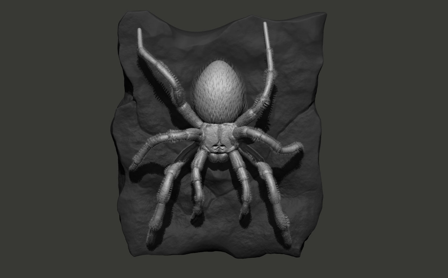 Red-knee Tarantula Brachypelma smithi  3D model_9