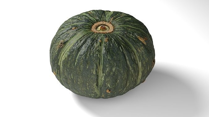 Green Japanese Pumpkin - Photorealistic  Scan Low-poly 3D model 7