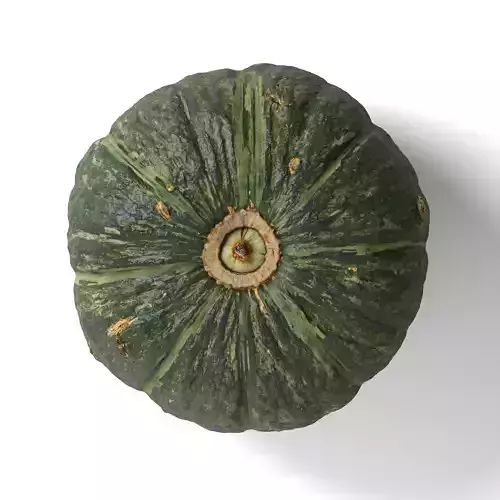 Green Japanese Pumpkin - Photorealistic  Scan