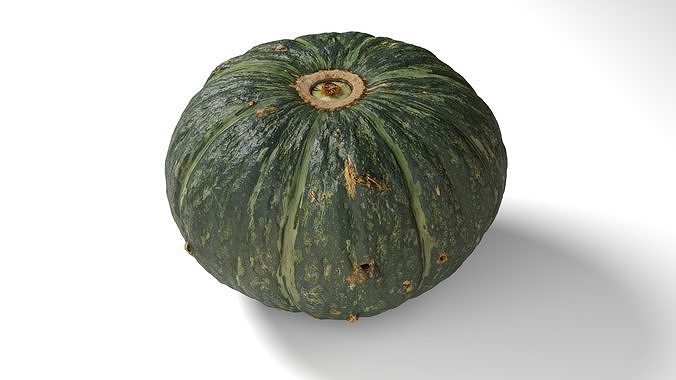 Green Japanese Pumpkin - Photorealistic  Scan Low-poly 3D model 2