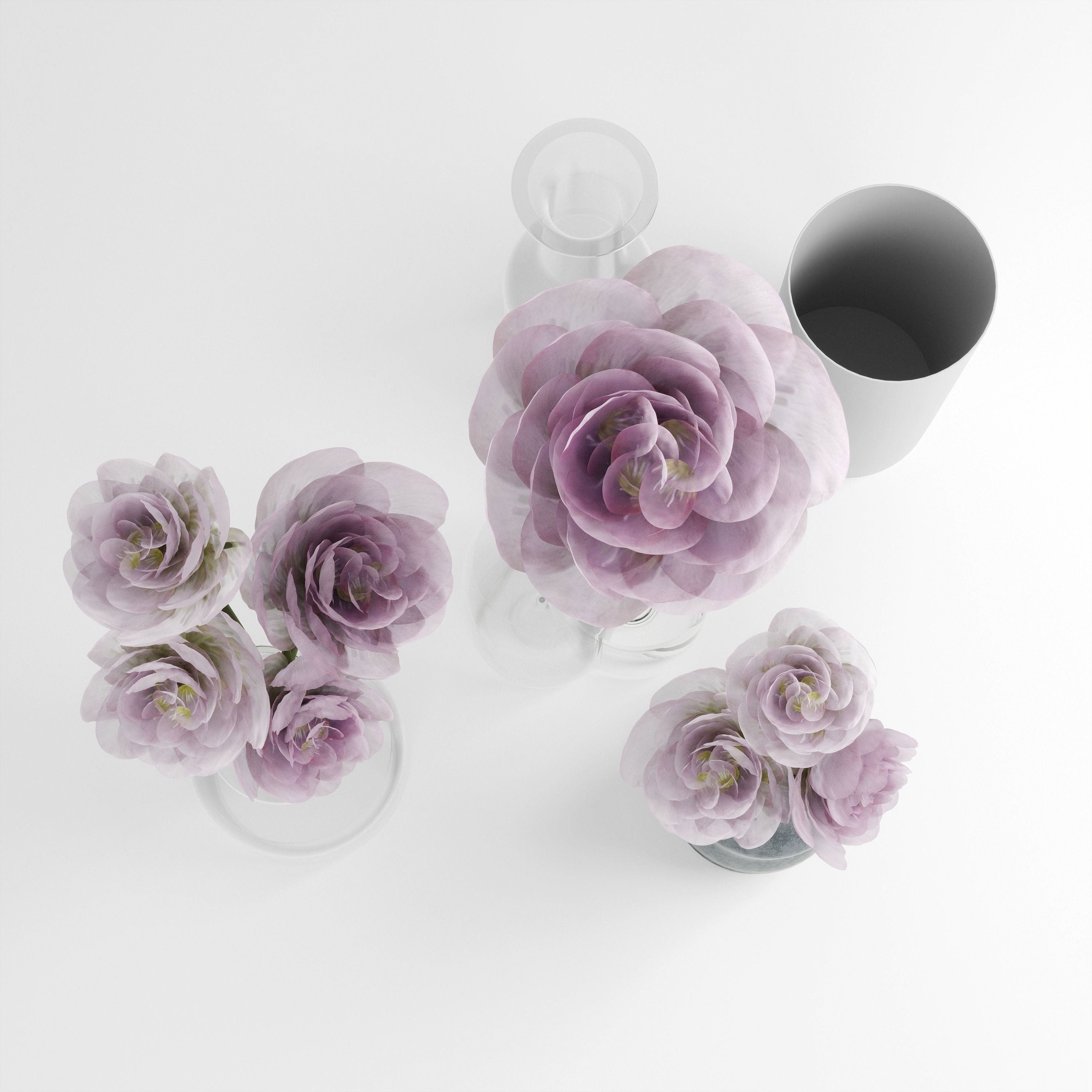 peonies flowers 3D model_3