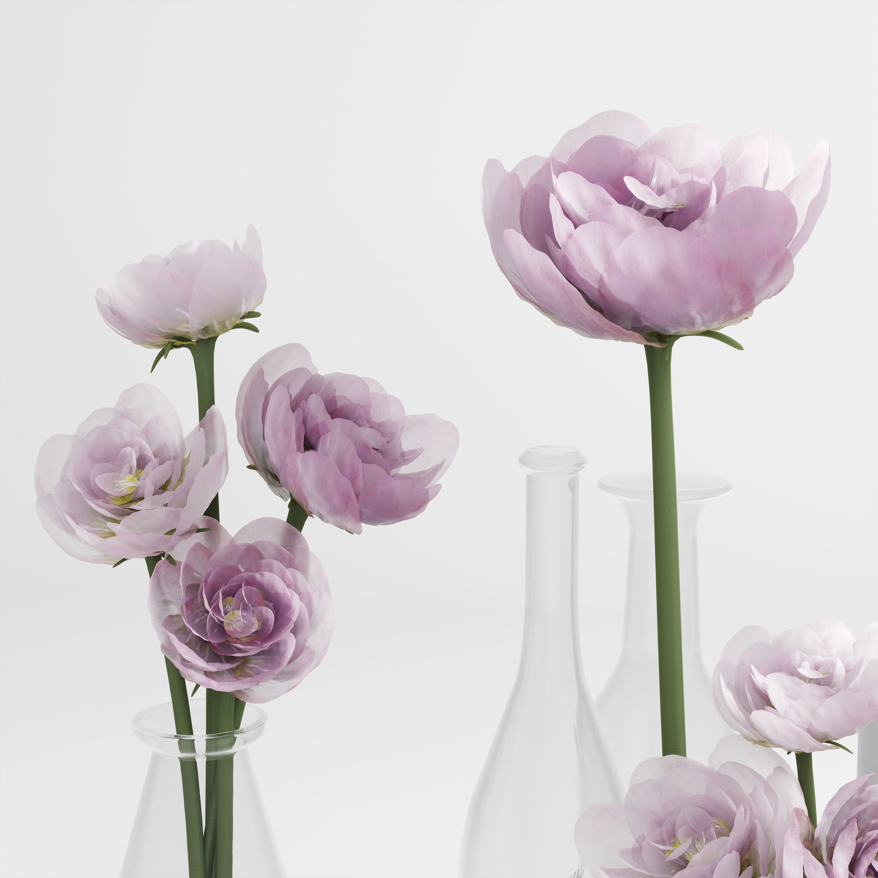 peonies flowers 3D model_1