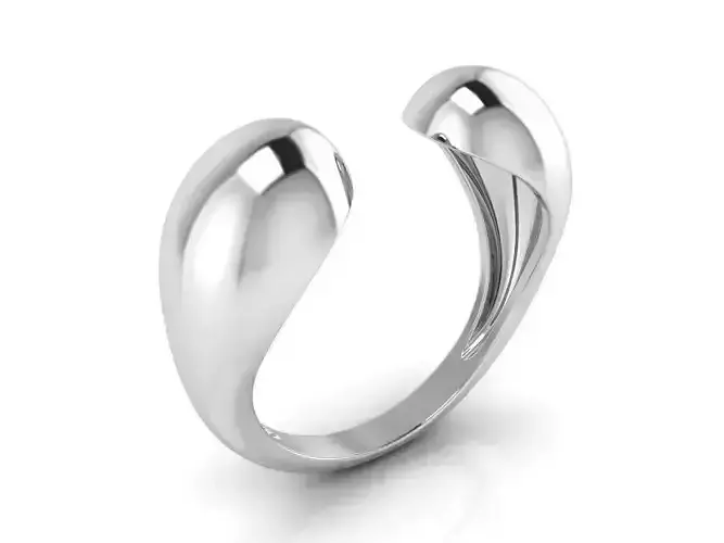 Ring 114 3D print model