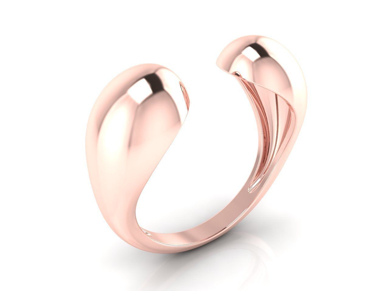 Ring 114 3D print model_1